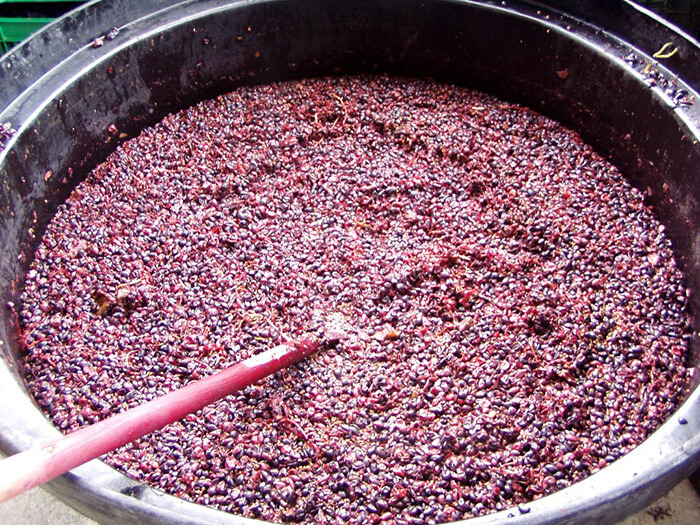 red wine grapes vang phap