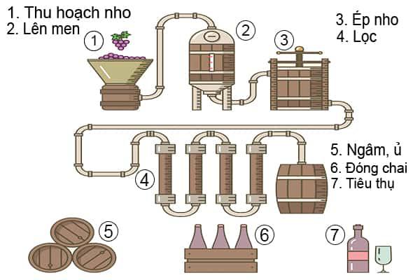 sản xuất rượu vang PHANPHOIRUOUVANG