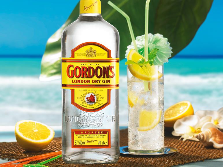 gordon s london dry gin