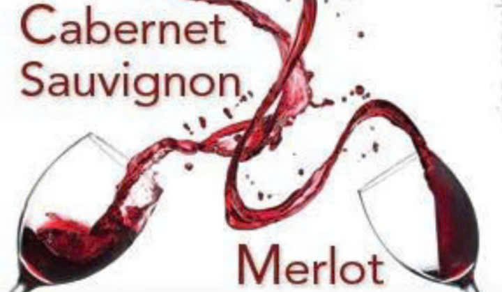 2 giong nho lam vang phap Jarosse Bordeaux