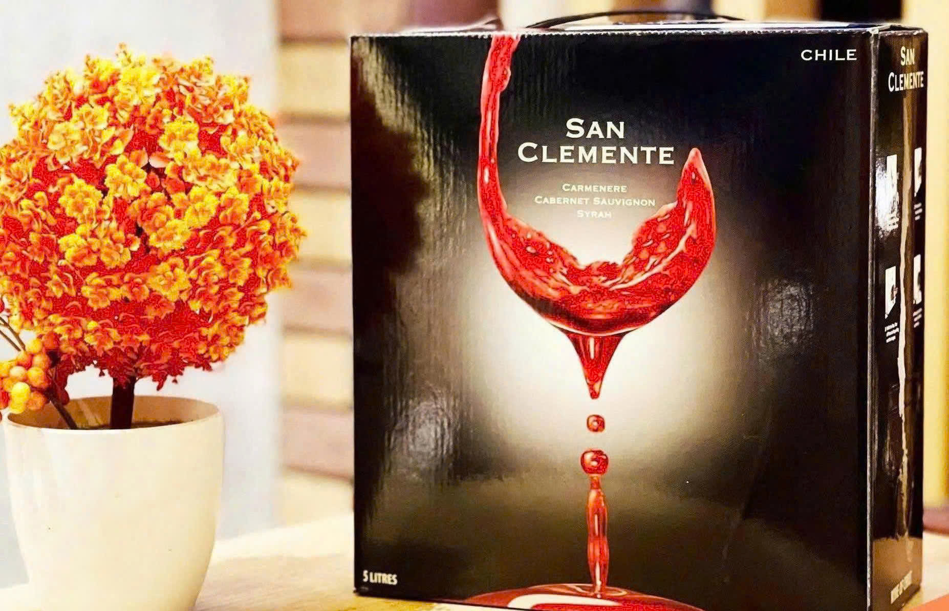 Ban San Clemente 5 Lit mua o dau gia re