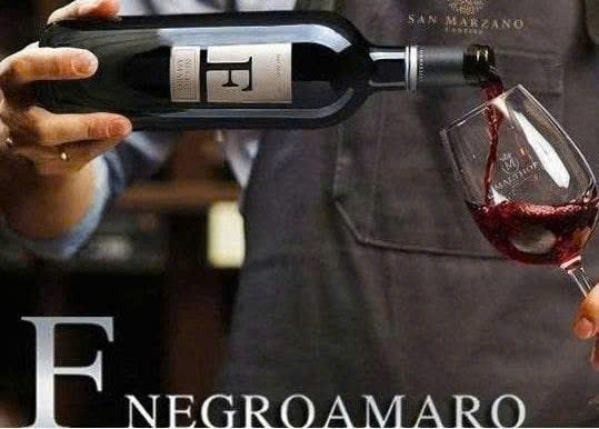 Cach thuong thuc ruou vang F Negroamaro hao hang