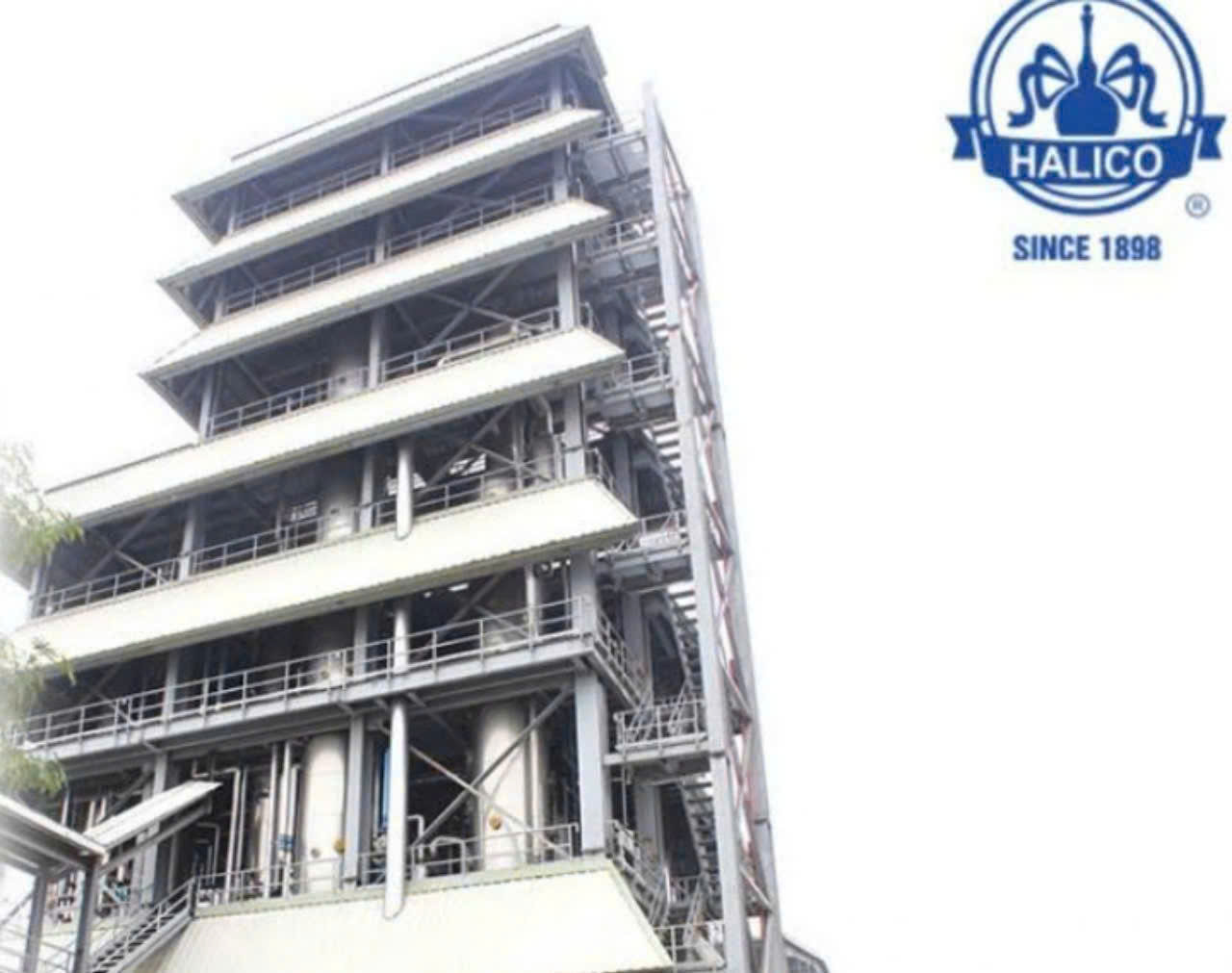 Chung cat Vodka Ha Noi Xanh