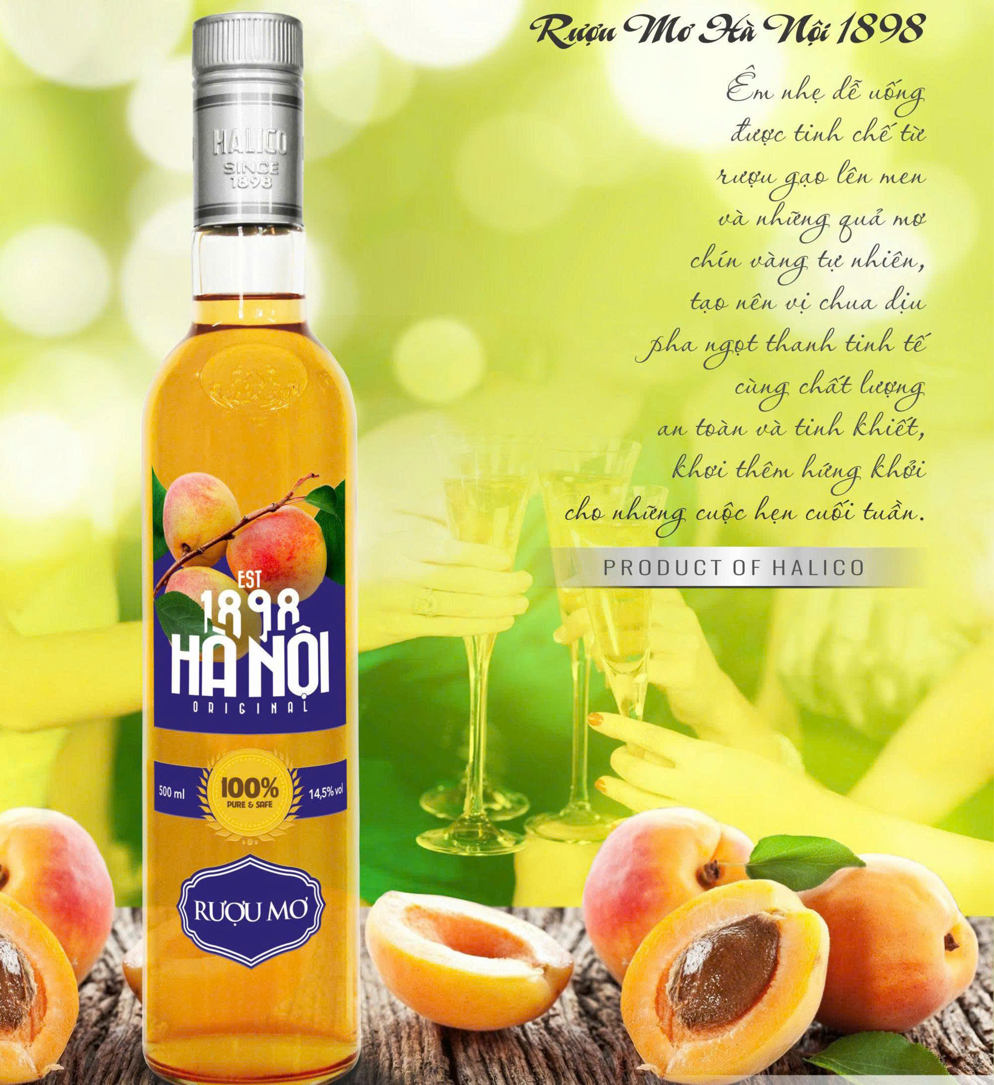 Dac diem cua Ruou Mo halico 1989