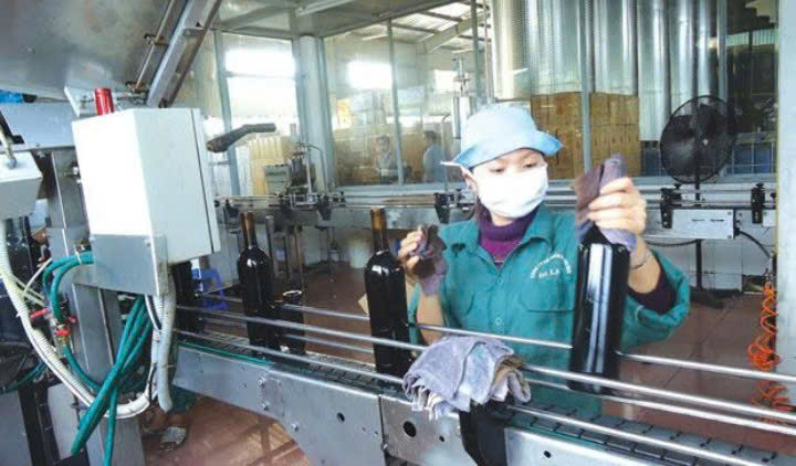 Dong chai vang da lat Export