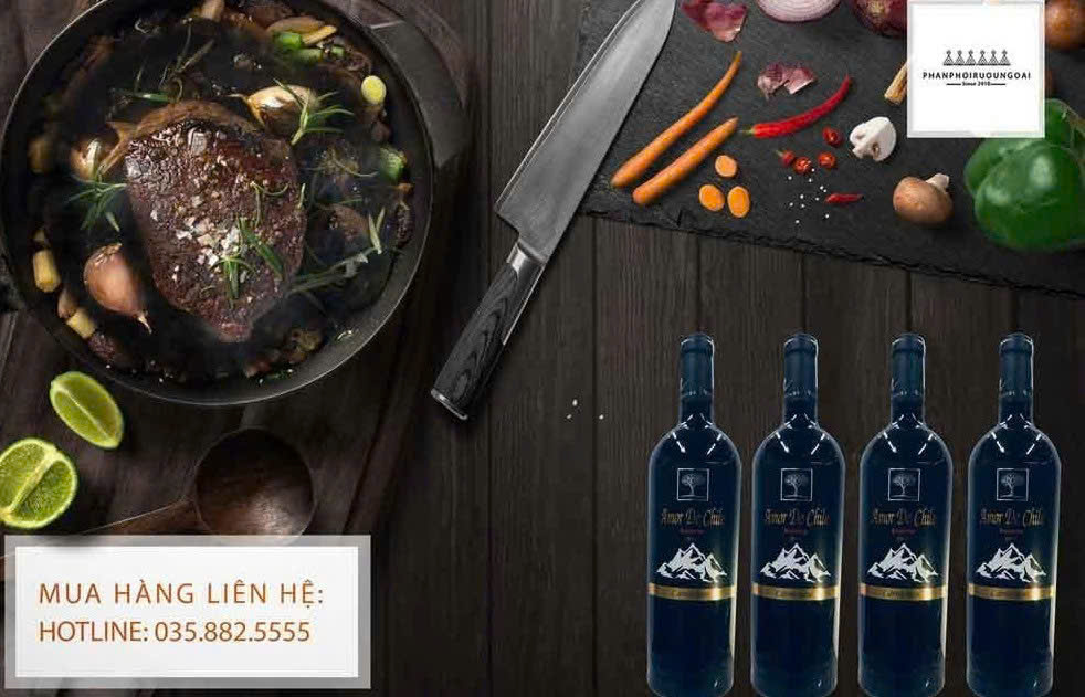 Dung dieu voi amor de chile Reserve carmenere