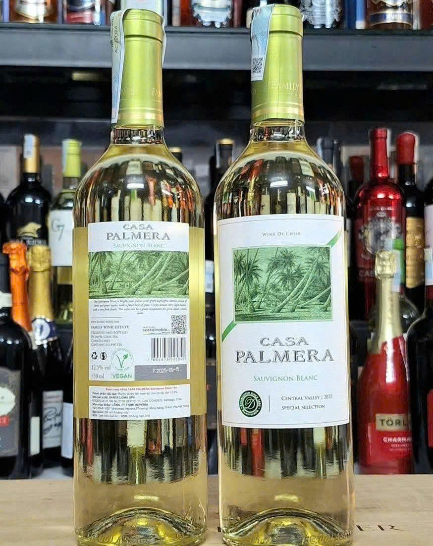 Gioi thieu Casa Palmera Sauvignon Blanc trang gia re