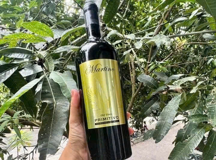 Gioi thieu Martino Primitivo