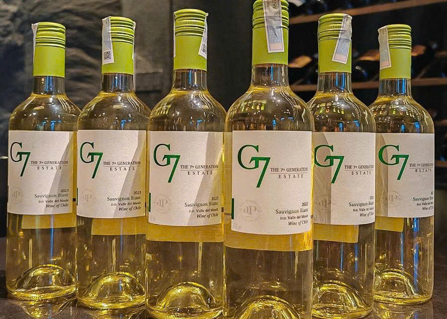 Gioi thieu Vang Trang Chile G7 Sauvignon Blanc