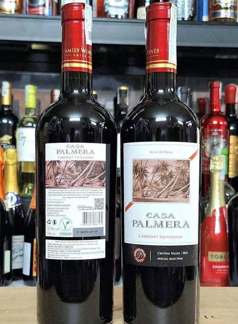 Gioi thieu casa Palmera CS Do chile