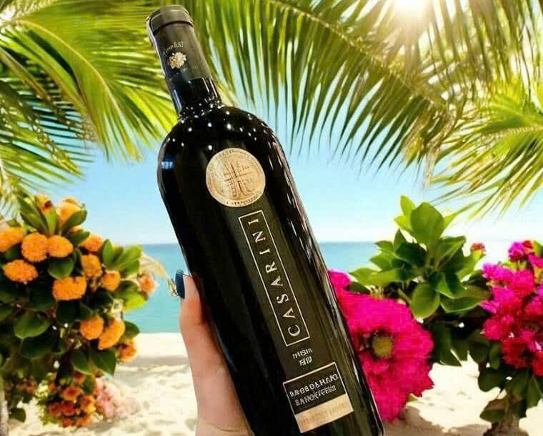 Gioi thieu ruou vang y casarini