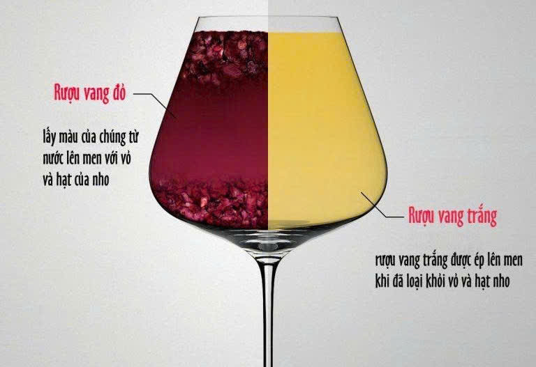 Gioi thieu vang do va vang trang