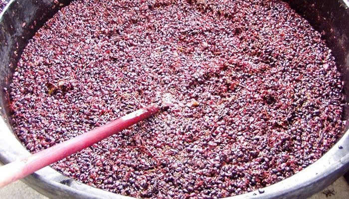 Len men ruou vang do