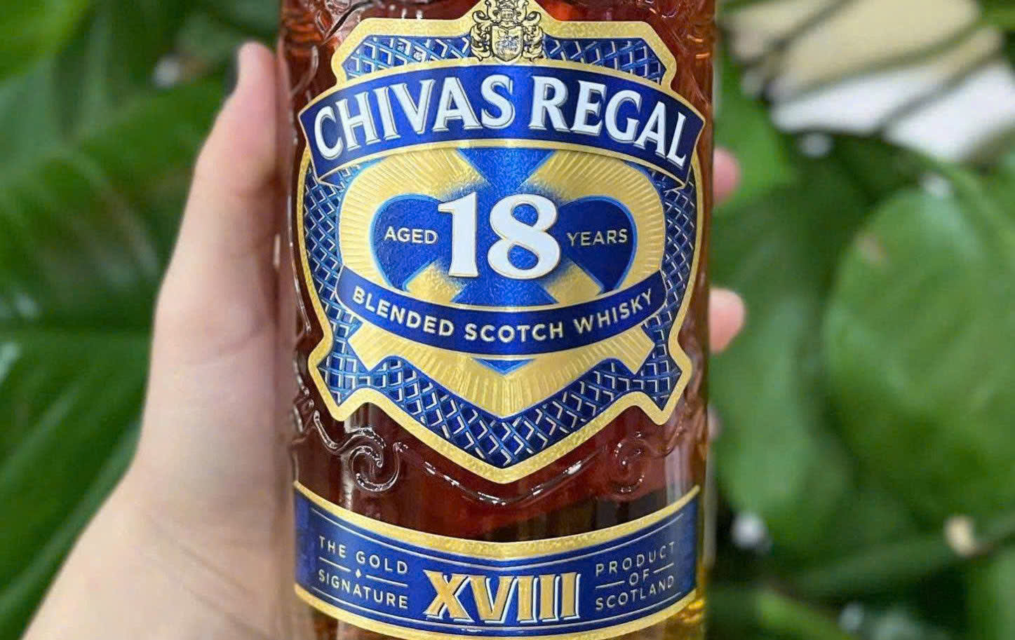 Nhan hieu chivas 18 mau moi 40 do