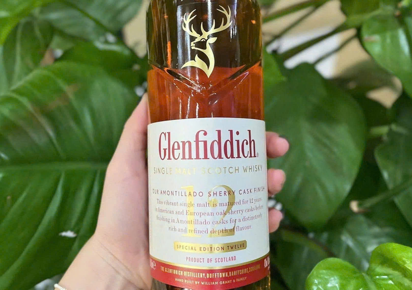 Nhan truoc glenfiddich 12 Sherry Cask finish 43 do