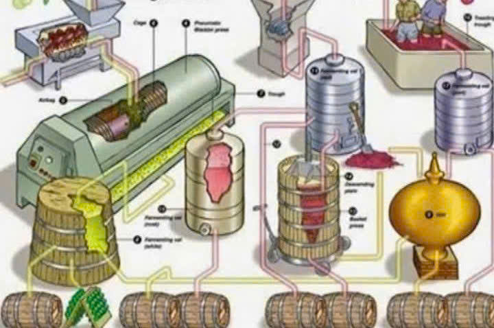 Quy trinh san xuat vang Amor De Chile 5lit