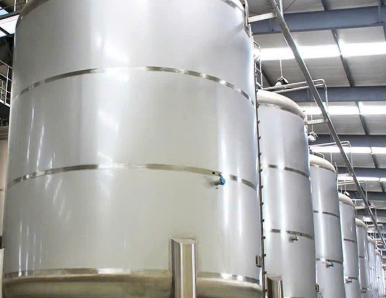 Tank chua Vodka Ha Noi Xanh