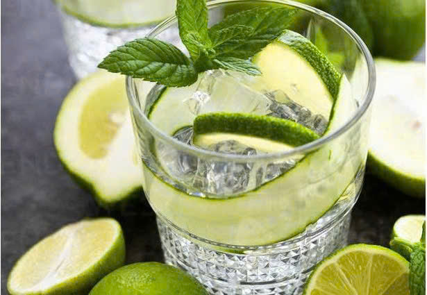 Thuong thuc ruou chanh 1989 Halico