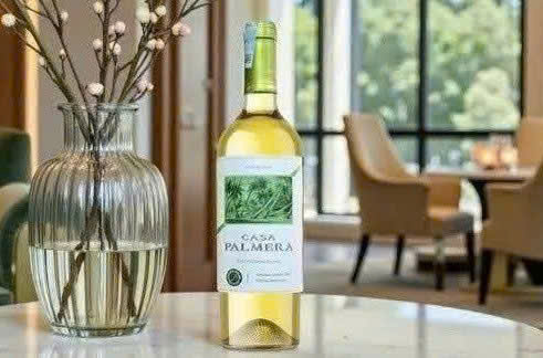 Trung bay Casa Palmera Sauvignon Blanc trang gia re 1
