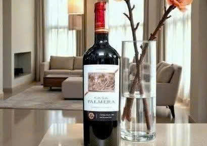 Trung bay casa Palmera CS Do gia re 2