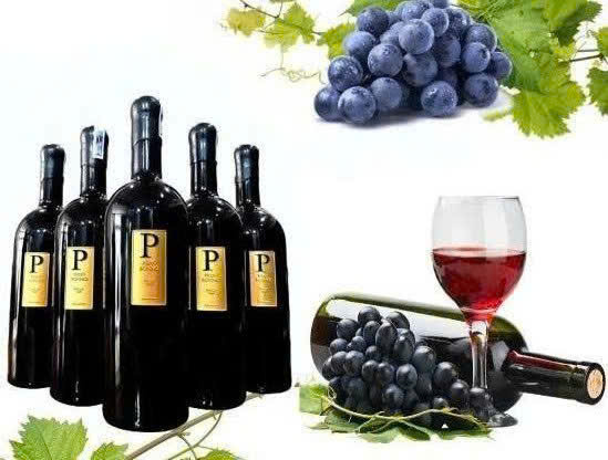 Trung bay vang y piero bonnci primitivo 17 do