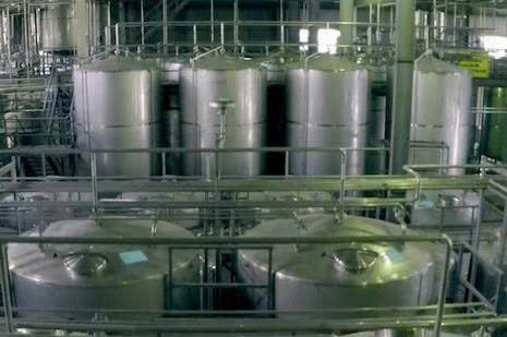 U ruou san dinh truyen thong