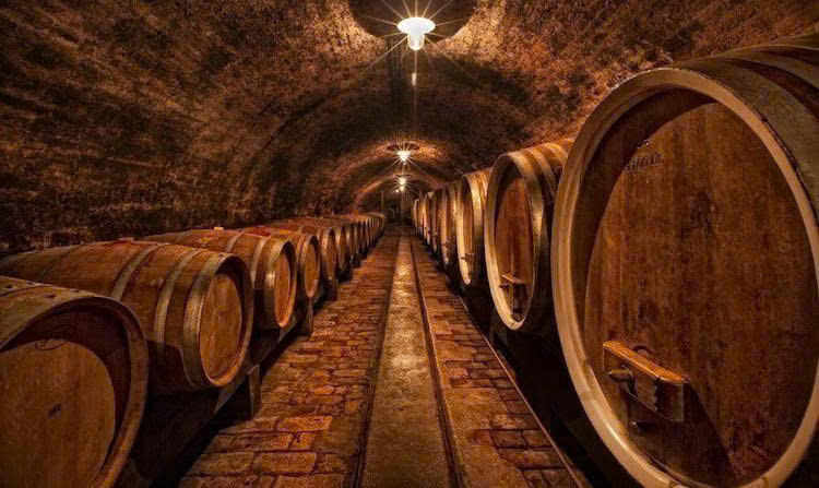 U vang phap trong thung go soi