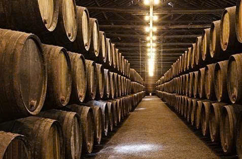 U vang y trong thung go soi