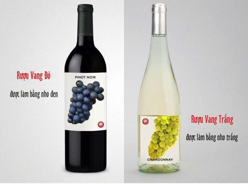 Vang Do khac Vang trang