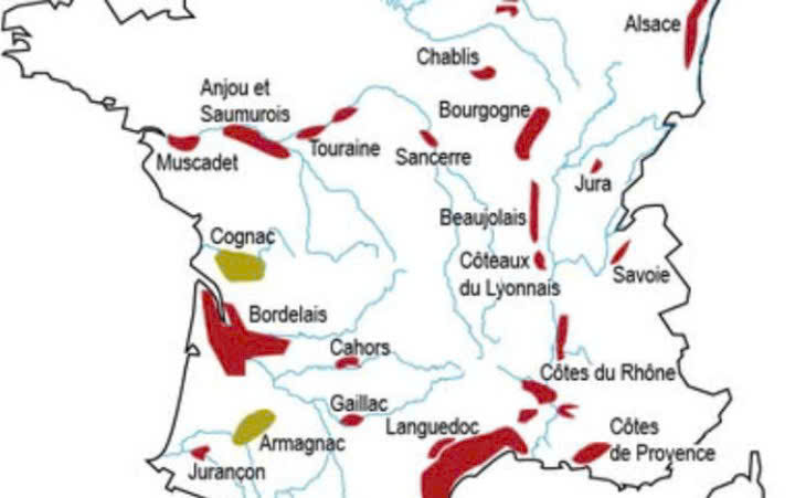 cac vuon nho cua vung Bordeaux tai Phap