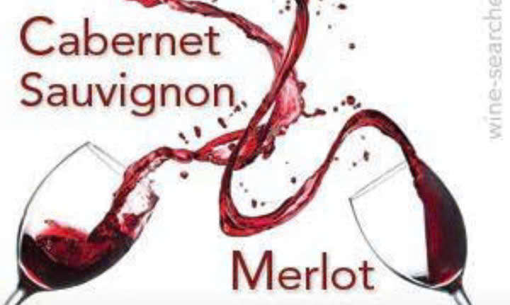 cap giong nho Cabernet sauvignon va Merlot