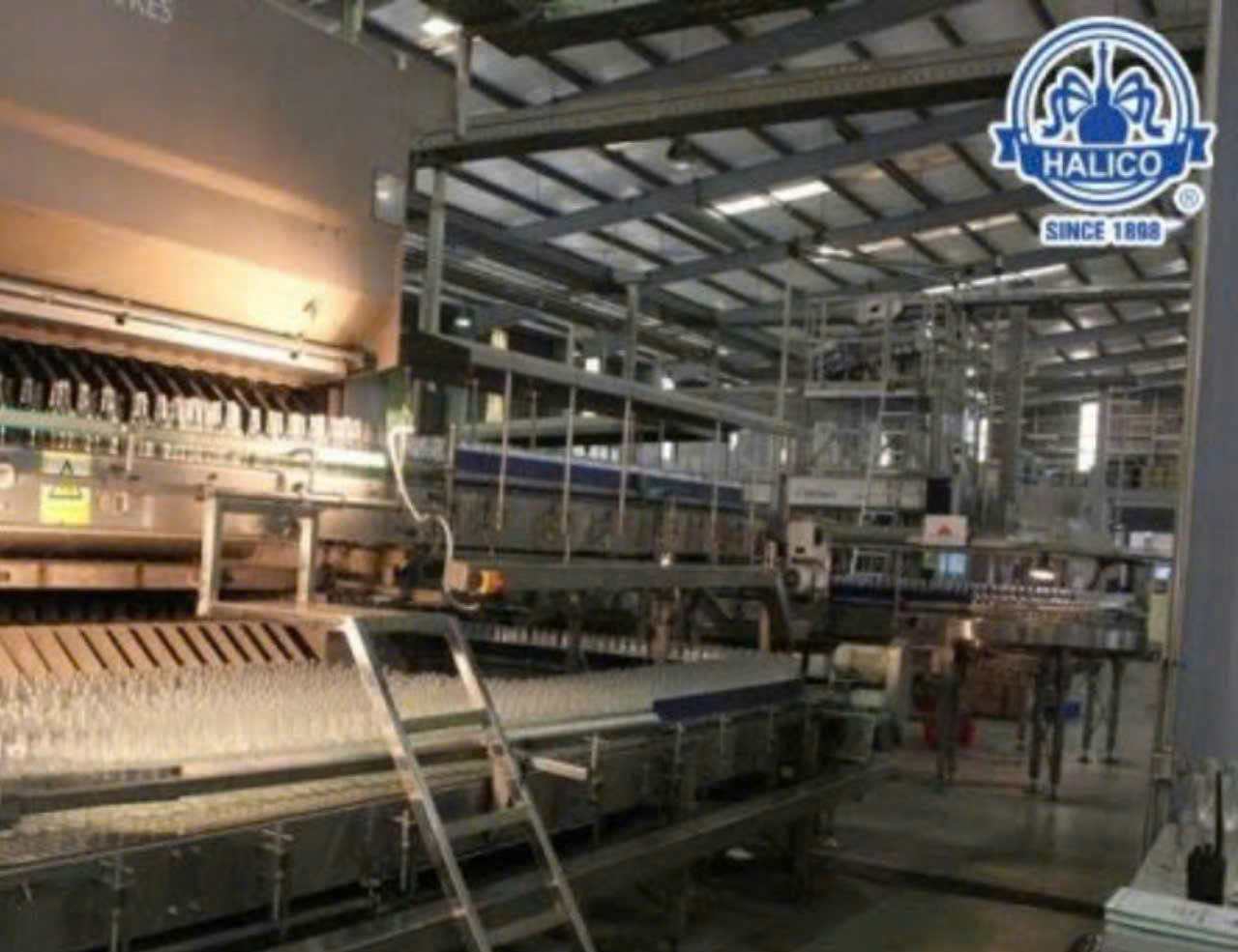 day chuyen dong chai Vodka Ha Noi Xanh