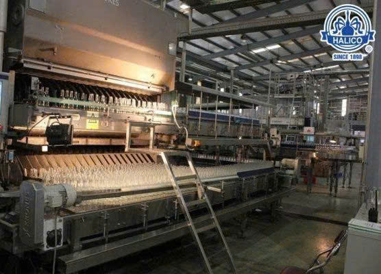 day chuyen dong chai dan mac ruou mo ha noi