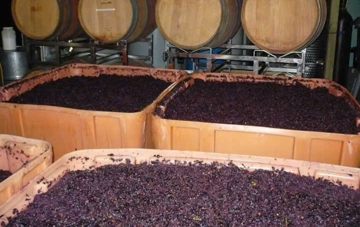 len men vang Bordeaux