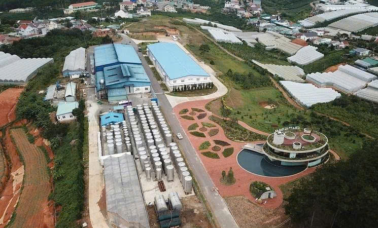 nha may san xuat ruou vang chateau dalat