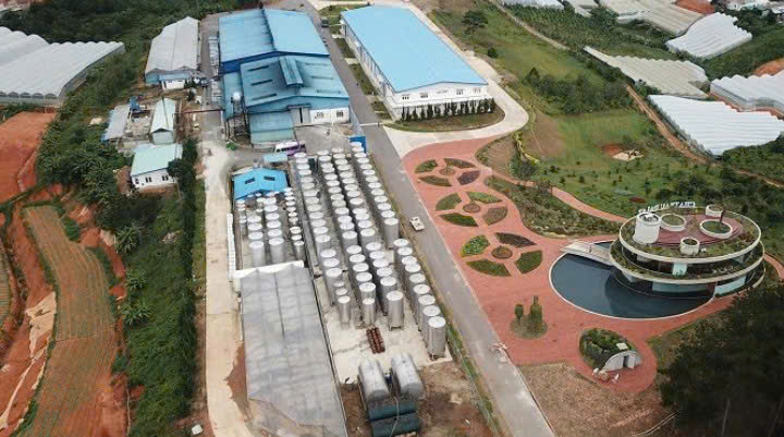 nha may vang Da lat Export lam dong