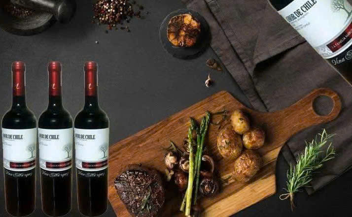 thuong thuc vang Amo De CHile CS Do