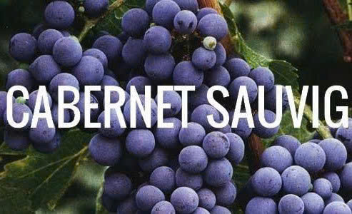 nho cabernet sauvignon Phap